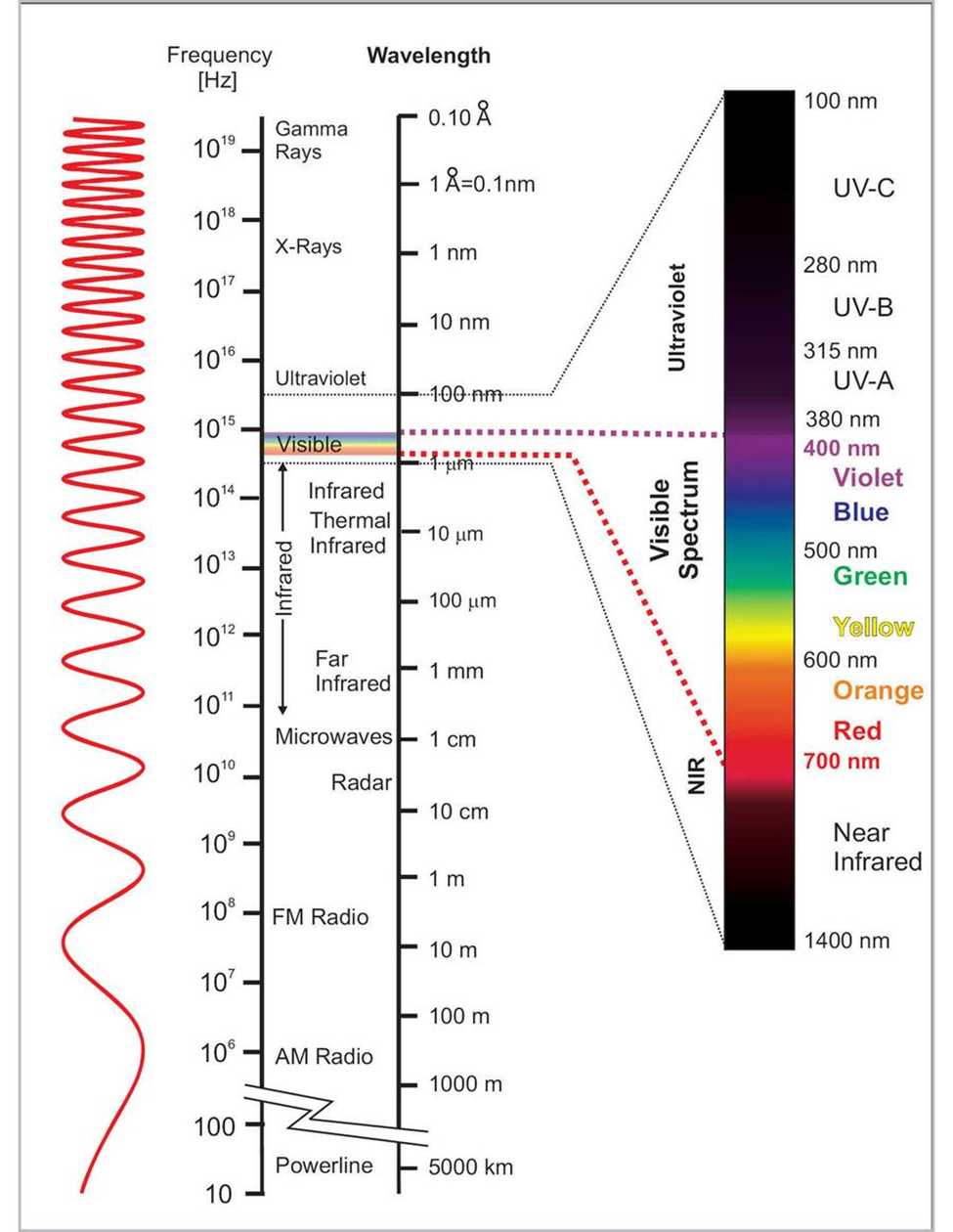 Fig. 1. Spectrul electromagnetic conține undele foarte lungi folosite pentru a transmite curentul alternativ precum și  undele foarte scurte ale razelor gamma produse de evenimente cosmice. Acea porțiune a spectrului perceputa de ochiul uman cuprinde lungimi de unda între 400 nm și 700 nm